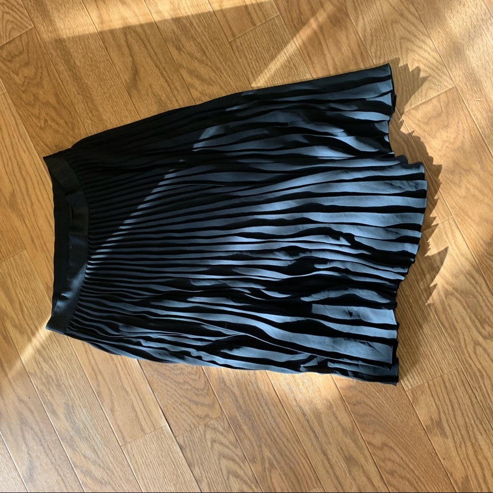 Express skirt